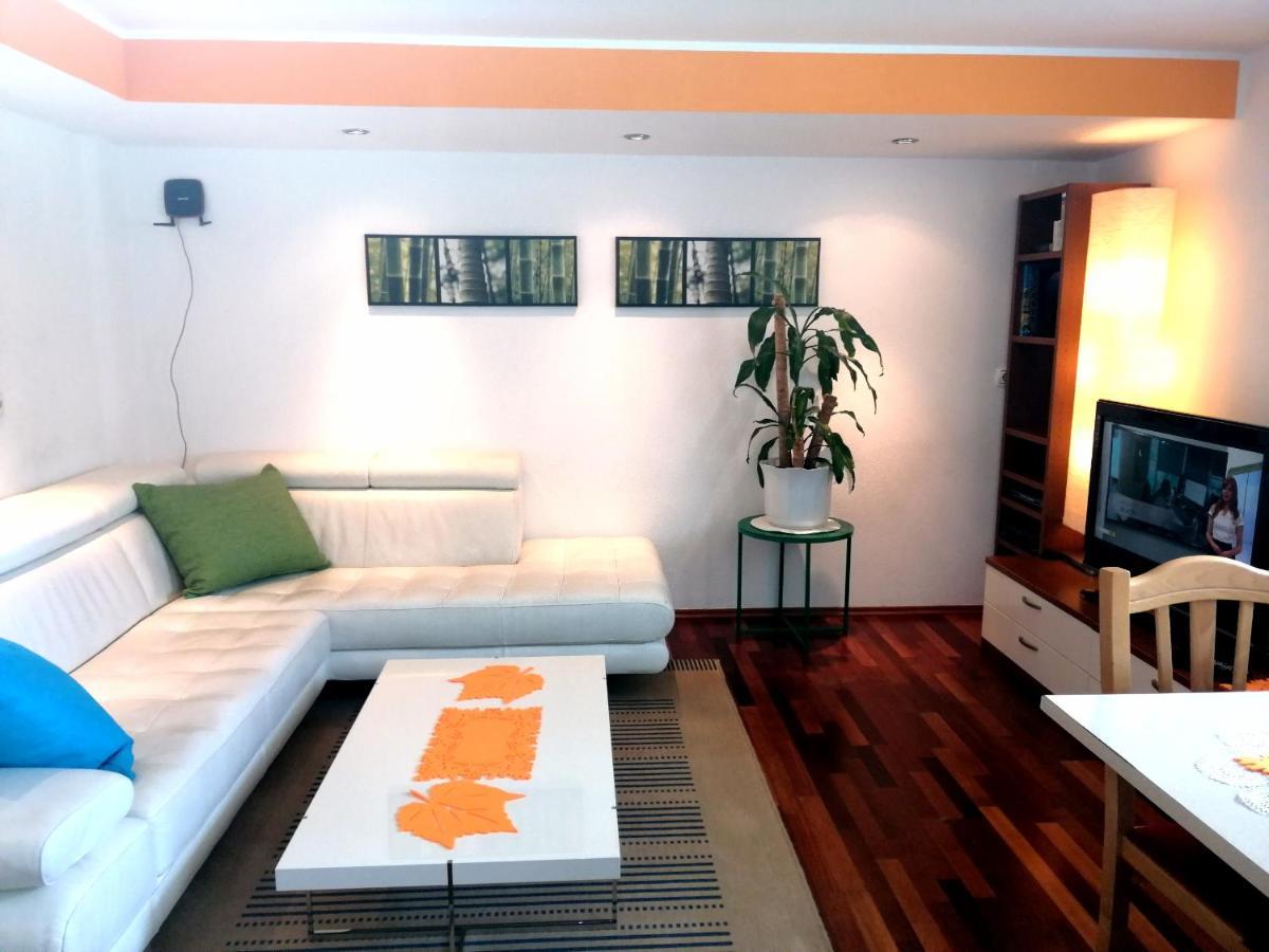 Mateja House - Apartments In Zirovnica Rodine Εξωτερικό φωτογραφία