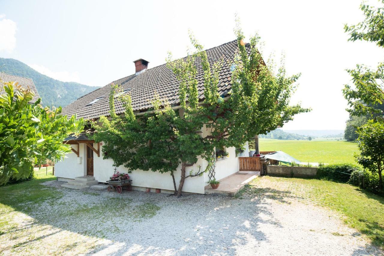 Mateja House - Apartments In Zirovnica Rodine Εξωτερικό φωτογραφία
