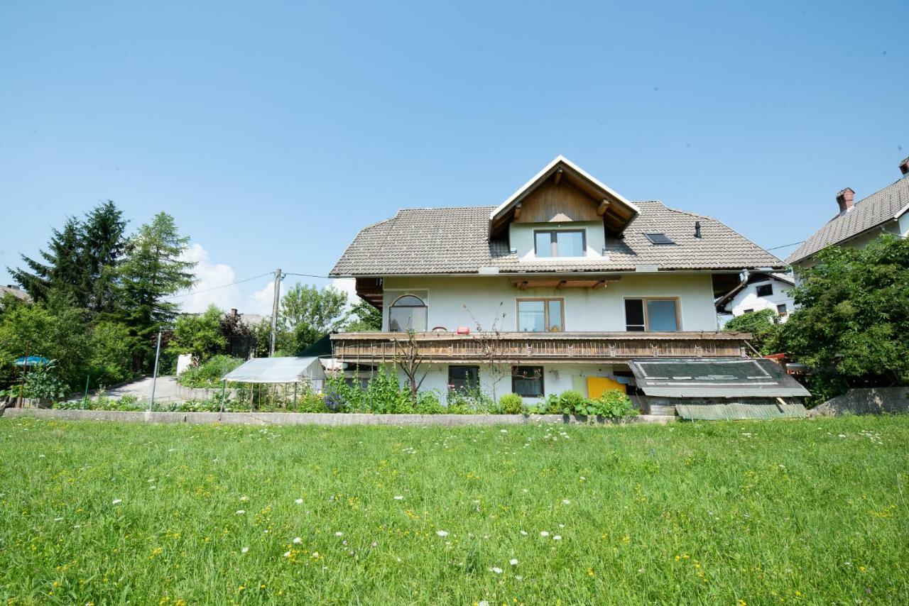 Mateja House - Apartments In Zirovnica Rodine Εξωτερικό φωτογραφία